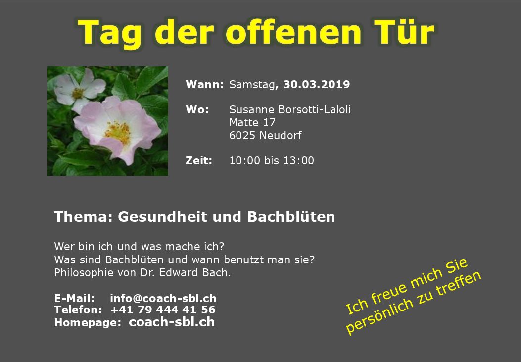 Read more about the article Mein nächster Bach-Blüten Workshop